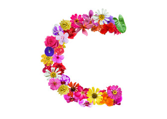 C shape made of various kinds of flowers petals isolated on transparent background, PNG