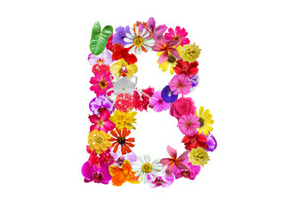 B shape made of various kinds of flowers petals isolated on transparent background, PNG