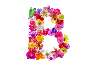B shape made of various kinds of flowers petals isolated on transparent background, PNG
