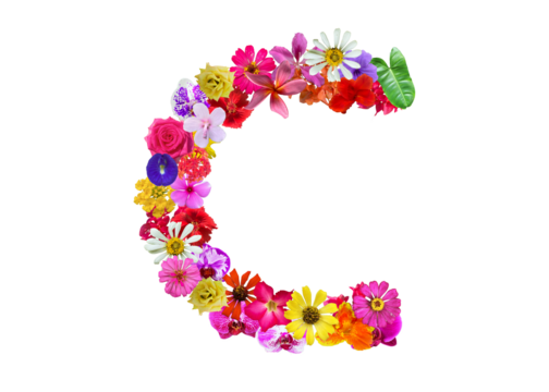 C shape made of various kinds of flowers petals isolated on transparent background, PNG