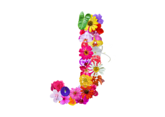 J shape made of various kinds of flowers petals isolated on transparent background, PNG