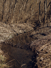 soil in the ground