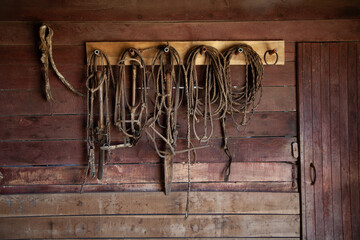 Horse riding and equipment for horses in argentina