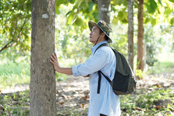 Asian man botanist is inspect trunk of tree in forest. Concept , Survey and research botanical plants. Forest conservation. Environment field research.     