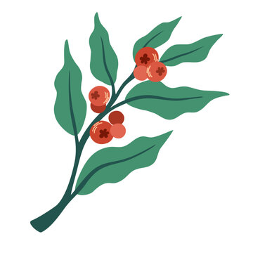 Coffee berries on a branch. Perfect for logo, poster, menu. Specialty cafe, packaging design elements, print. Hand drawn vector illustration
