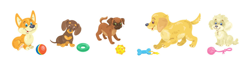 Cute funny puppies with their toys. Set of different breeds. Corgi, dachshund, belgian griffon, golden retriever, and poodle. In cartoon style. Isolated on white background. Vector flat illustration.