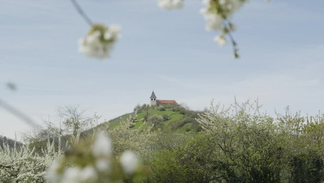 Selective-focus view of a chapel on a hill with a foreground of a bee flying by blossoming flowers