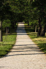 Path to Peaceful Horizons