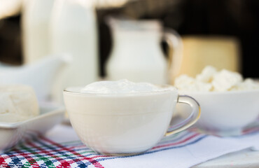 jug of milk, bottle of kefir, cottage cheese, cream and yogurt in bowl, cheese, butter on table in cowshed