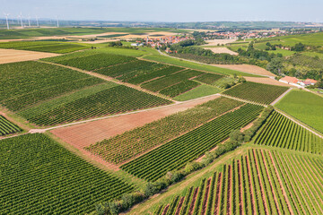 Aerial view of the vineyards near Uffhofen - Germany