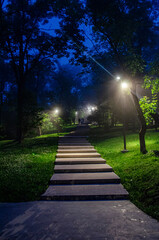 Obraz premium alley in the park