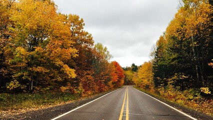 a tree lined road with yellow and red fall leaves on trees