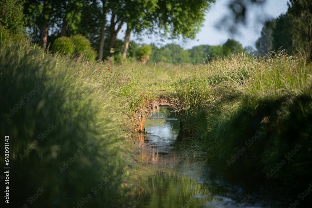 Sticker Scenic view of a small stream running between verdant bushes on a sunny day