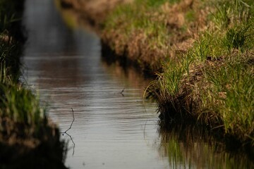 Scenic view of a river flowing through a lush, green grassy field