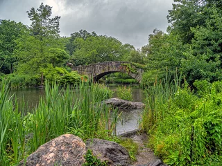 Photo sur Plexiglas Pont de Gapstow Gapstow Bridge in Central Park, in rain