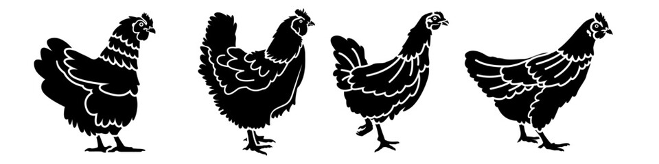 Chicken vector icon set. Farm illustration sign collection. hen symbol.