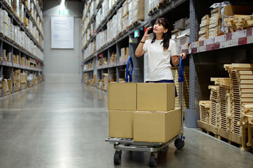 Asian woman pushing shopping cart while talking on smartphone at warehouse retail store