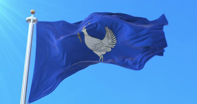 Flag of Drochia District, Moldova. Loop