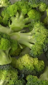 Closeup of ripe cut fresh broccoli with waterdrops