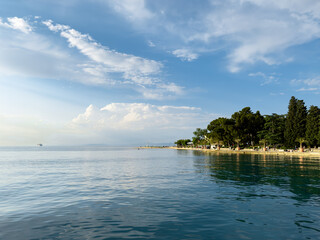 tropical island beach with trees