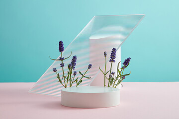 Fresh blooming lavender with white cylinder podiums and acrylic sheet decorated on pastel background. Empty space for presentation cosmetic and product. Lavender is commonly used in aromatherapy.