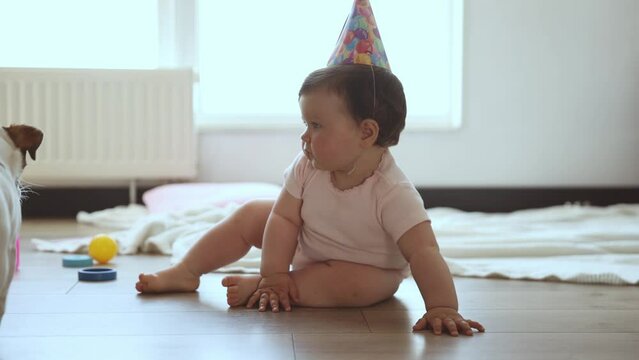 Birthday baby. Little girl, child, toddler sitting on floor at home, playing with little dog, crawling on floor. Concept of childhood, emotions, care, health, life and birth, motherhood, ad