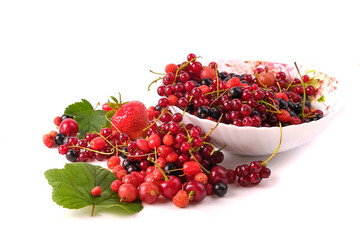 various berries in a plate isolated on white, top view, leaves
