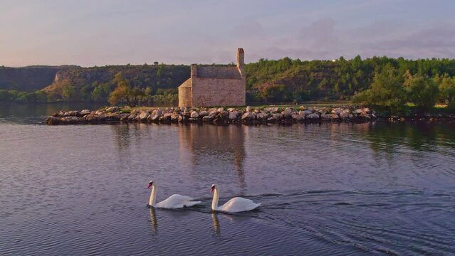Swans on the lake next to Crkva Duha Svetog during sunrise, aerial