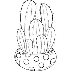 tropical houseplant cactus