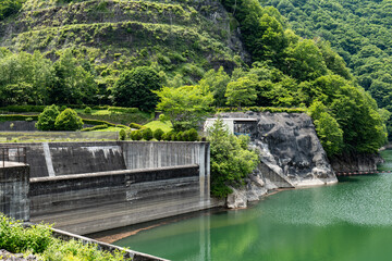 Fototapeta premium 水辺の風景 山梨県広瀬湖