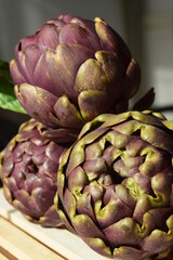 Roman artichokes, close view