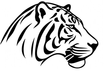 Obraz premium A Tiger black and white illustration