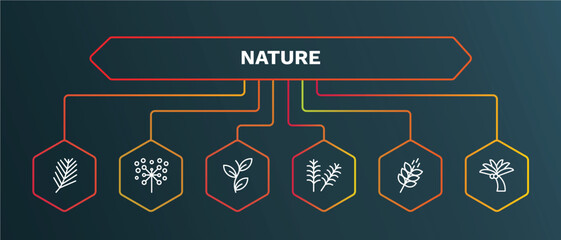 set of nature white thin line icons. nature outline icons with infographic template. linear icons such as pollen, perfoliate, yew leaf, grains, coconut tree standing vector.