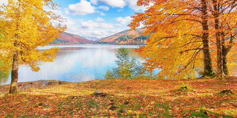 mountain landscape at the lake in autumn. trees in colorful foliage on the shore. beautiful nature scenery on a sunny day with fluffy clouds on the blue sky reflecting on the rippled water surface