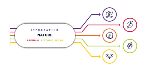 Fototapeta premium set of nature thin line icons. nature outline icons with infographic template. linear icons such as treatments, birch leaf, plum leaf, orbicular, grains vector.