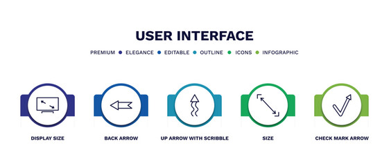 Fototapeta premium set of user interface thin line icons. user interface outline icons with infographic template. linear icons such as display size, back arrow, up arrow with scribble, size, check mark arrow vector.