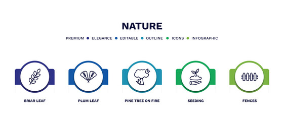 set of nature thin line icons. nature outline icons with infographic template. linear icons such as briar leaf, plum leaf, pine tree on fire, seeding, fences vector.