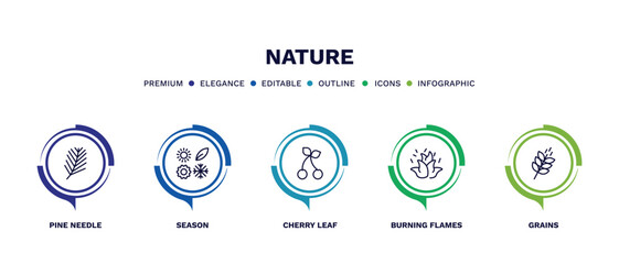 set of nature thin line icons. nature outline icons with infographic template. linear icons such as pine needle, season, cherry leaf, burning flames, grains vector.