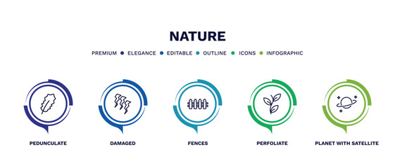 set of nature thin line icons. nature outline icons with infographic template. linear icons such as pedunculate, damaged, fences, perfoliate, planet with satellite vector.
