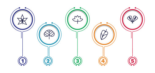 set of nature thin line icons. nature outline icons with infographic template. linear icons such as chestnut leaf, liquidambar leaf, plum leaf, reniform, philodendron vector. © Abstract