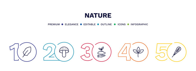 set of nature thin line icons. nature outline icons with infographic template. linear icons such as magnolia leaf, amanita, seeding, straberry leaf, obovate vector.