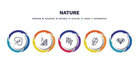set of nature thin line icons. nature outline icons with infographic template. linear icons such as cordate, mountain pse, damaged, philodendron, plum leaf vector.