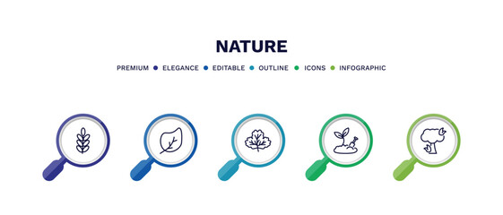 set of nature thin line icons. nature outline icons with infographic template. linear icons such as acacia, ovate, gooseberry leaf, farming, pine tree on fire vector.