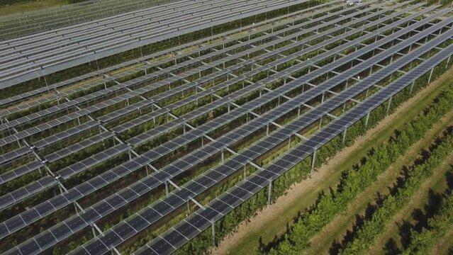 Combine Solar Panels And Farming For Renewable Energy In Grafschaft, Germany - Agrivoltaic System, drone fly over