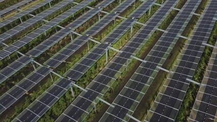 Backward Over Solar Energy In Vast Agricultural Land In Grafschaft, Germany - Agrivoltaic Systems Concept, aerial reveal