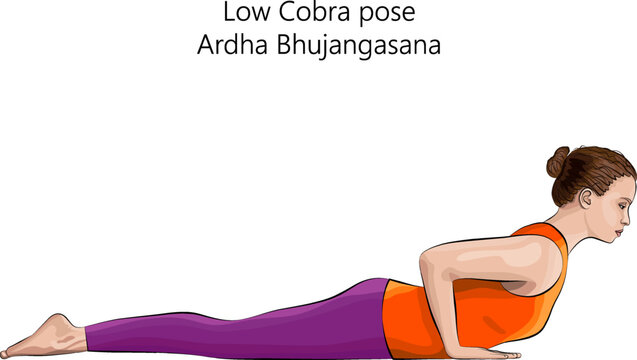 Yoga cobra pose or bhujangasana. Woman...のイラスト素材 [86582813] - PIXTA