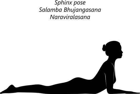 Sphinx Yoga Pose - Forte Yoga | Cool yoga poses, Yoga poses, Yin yoga poses