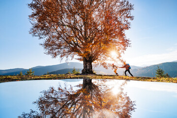 Two tourists with backpacks run along the shore of mountain lake. Lonely autumn beech tree near the lake. - obrazy, fototapety, plakaty