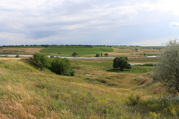 A grassy field with trees