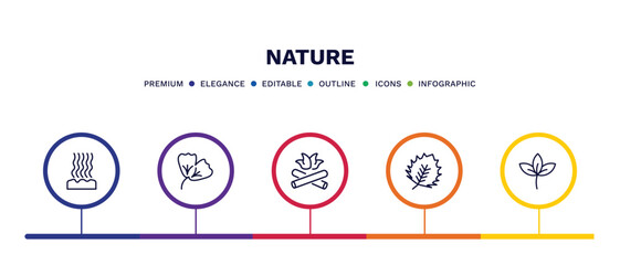 Fototapeta premium set of nature thin line icons. nature outline icons with infographic template. linear icons such as fasciculate, ginkgo, camping bonfire, birch leaf, straberry leaf vector.